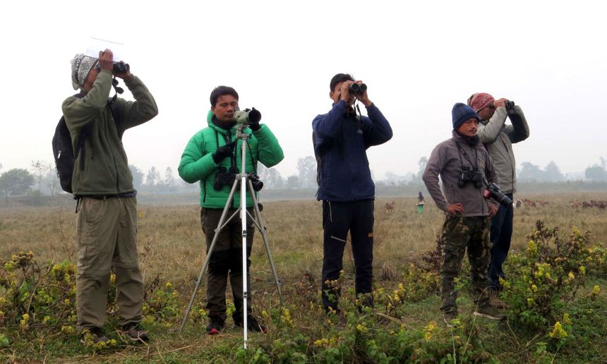 Bird Watching Tour
