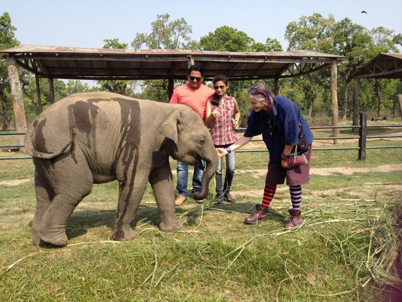 Elephant Breeding Centre Visit
